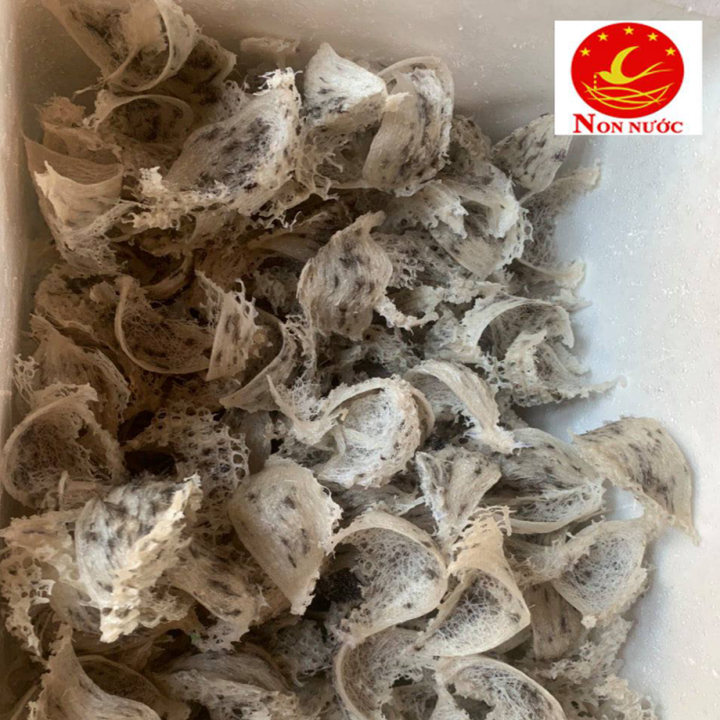 Yến Sào Non Nước Chất Lượng Đà Nẵng