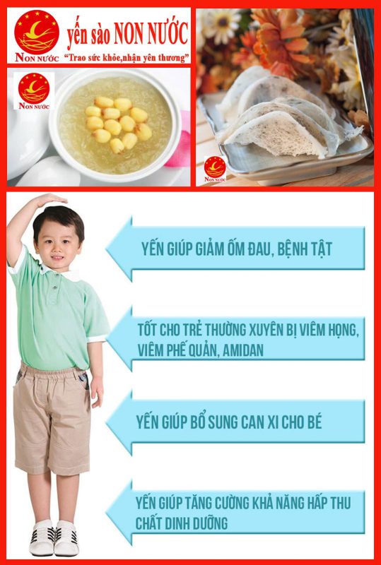 Yến Sào Non Nước Chất Lượng Đà Nẵng