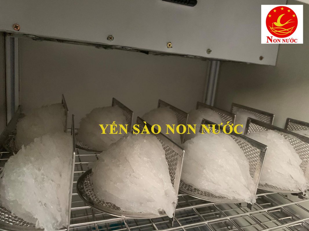 Yến Sào Non Nước Chất Lượng Đà Nẵng