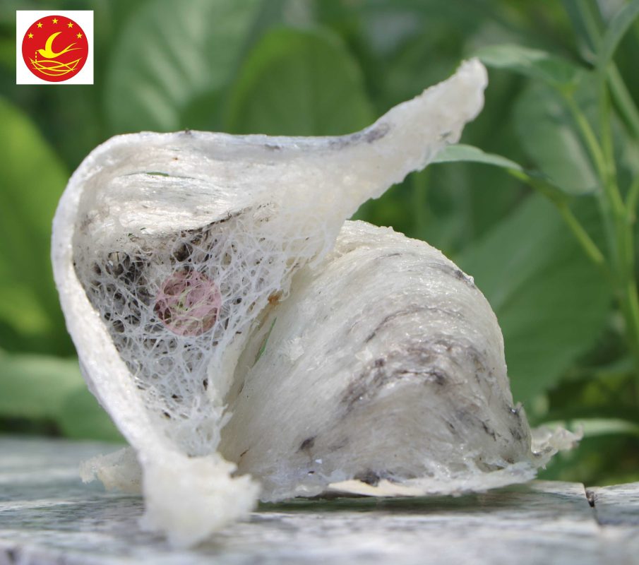 Yến Sào Non Nước Chất Lượng Đà Nẵng