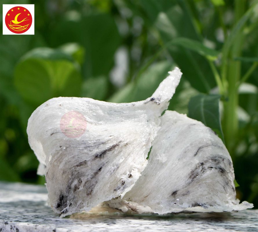 Yến Sào Non Nước Chất Lượng Đà Nẵng