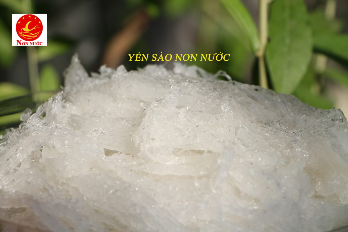 Yến Sào Non Nước Chất Lượng Đà Nẵng