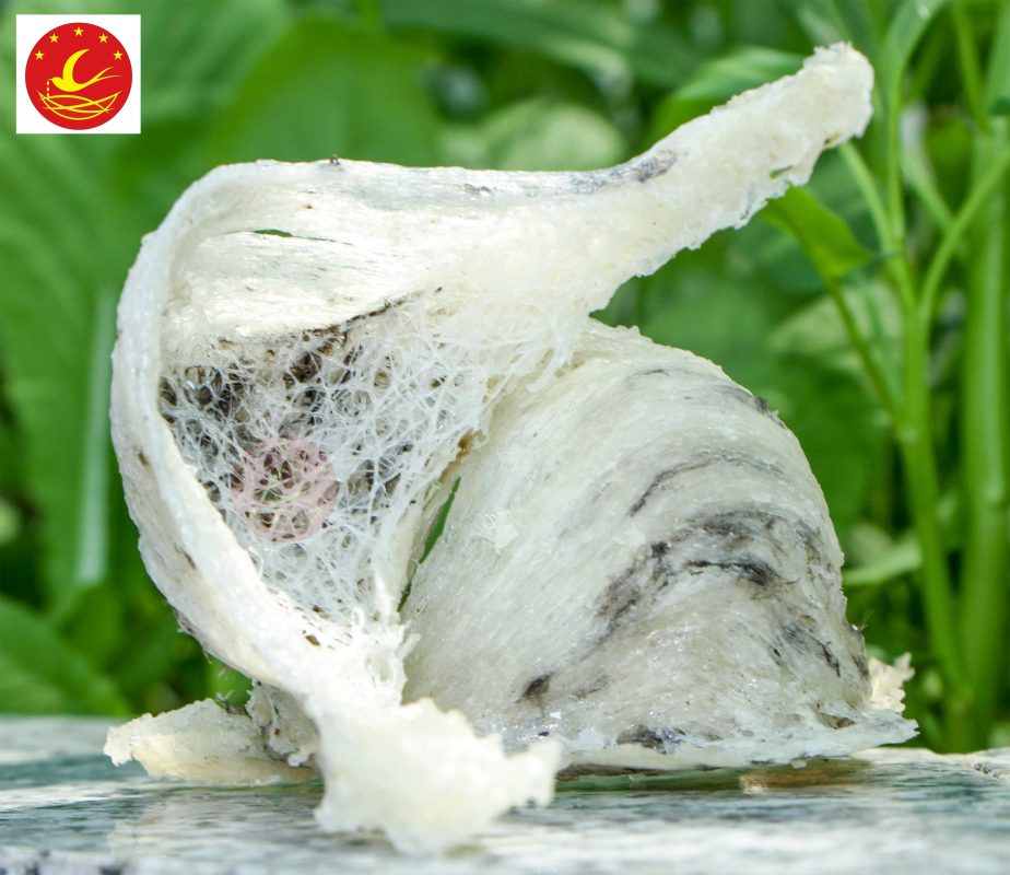 Yến Sào Non Nước Chất Lượng Đà Nẵng
