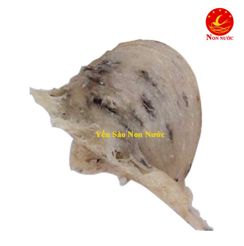 Yến Sào Non Nước Chất Lượng Đà Nẵng