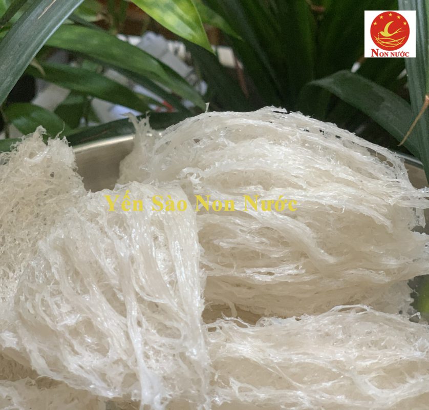 Yến Sào Non Nước Chất Lượng Đà Nẵng