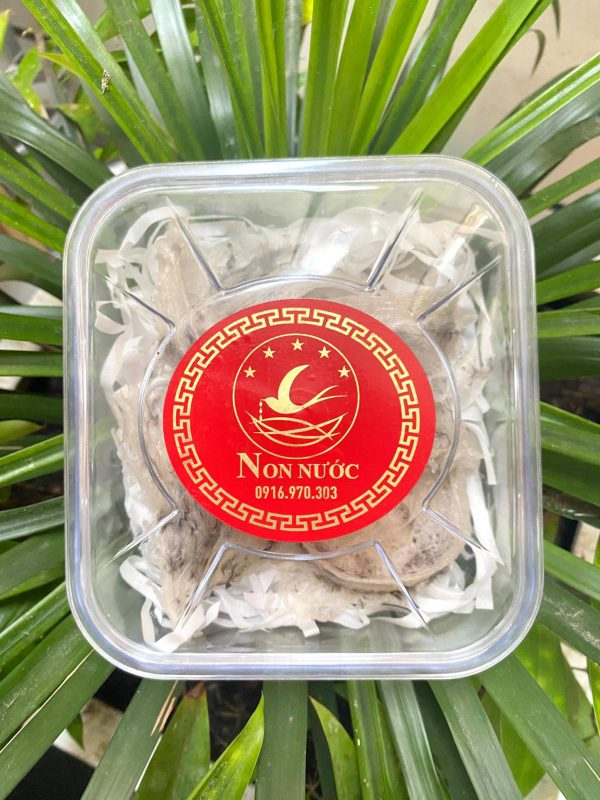 Yến Sào Non Nước Chất Lượng Đà Nẵng