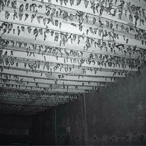 bảng giá yến sào tại Quảng Bình - giá yến sào tại Quảng Bình