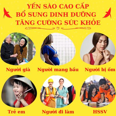 công dụng của yến sào