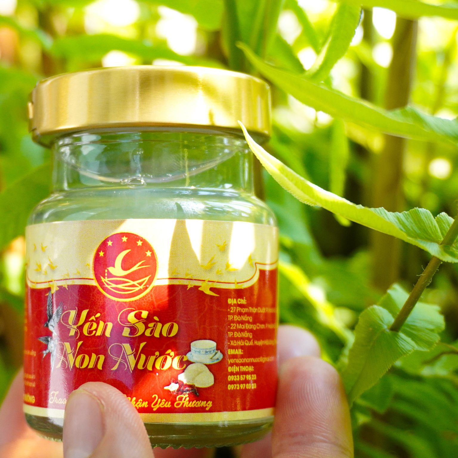 Yến sào Đà Nẵng - Yến sào Non Nước